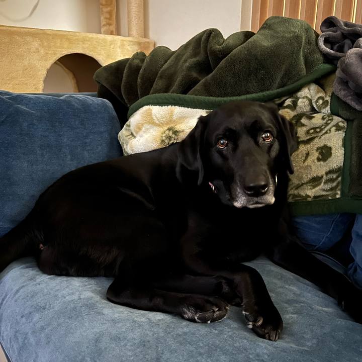 2560c2b7 adf7 4b05 b75e 585b9a5e363b 1710406496281