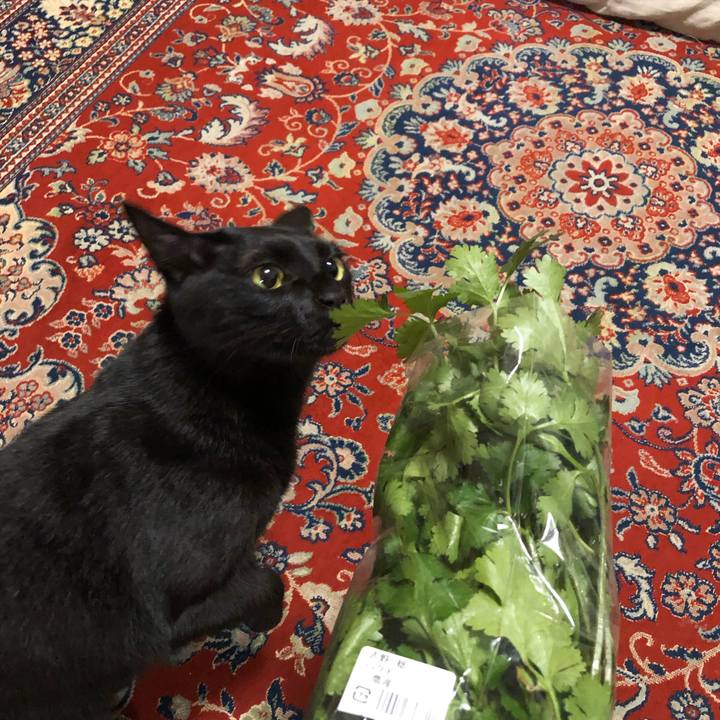 2560e914 3404 4be7 b737 5d5f52d928b2 1543666583710