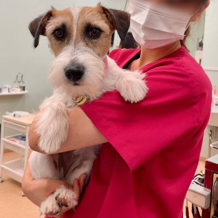 2560ff98 b117 495b 86e4 4c46505a4f8f 1624536764422