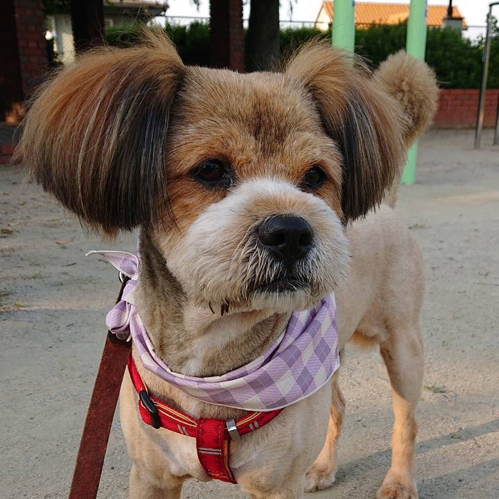 25610fae f64c 460b 813e 24e23ae870a0 1559730276955