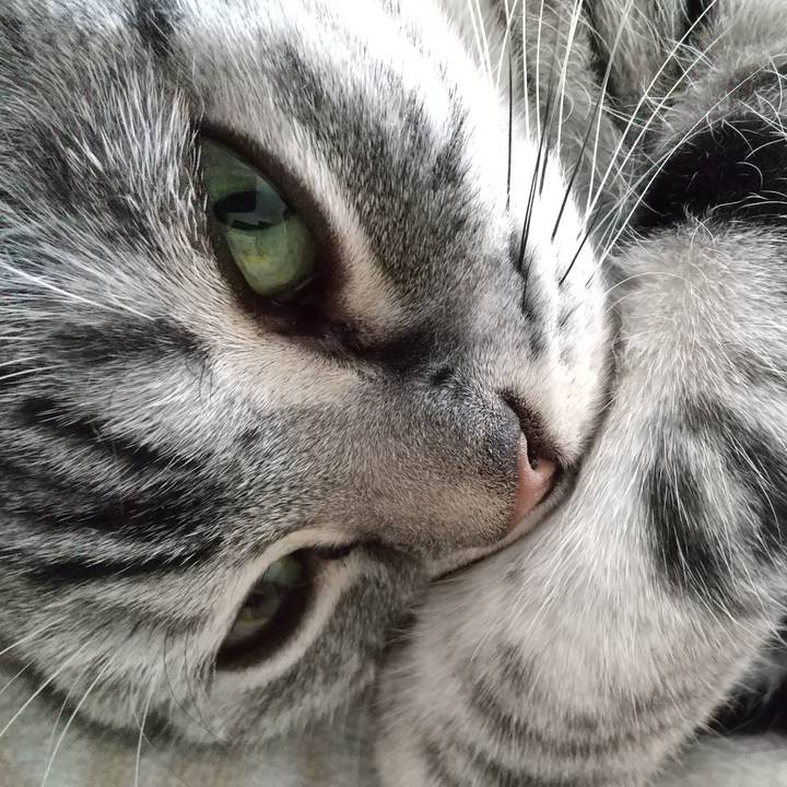 25613463 60e2 411e bd3e cab3588a3354 1669435471635