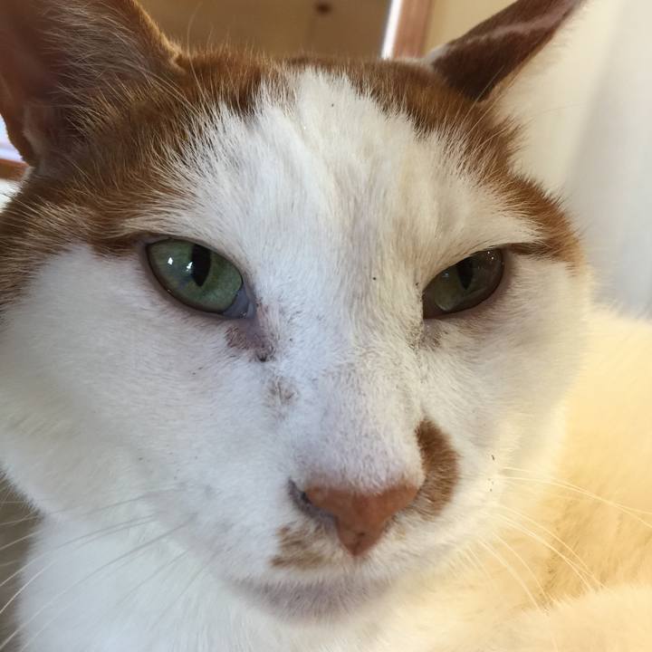 25616adc 1e07 4737 93be 750b52873892 1579659915371