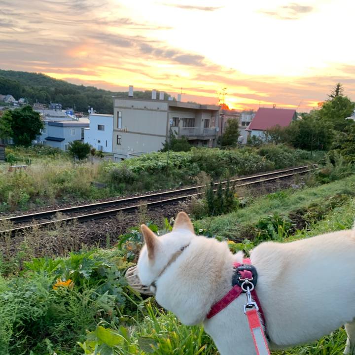 2561793c b9a8 47e5 ad14 2a8790c4fa70 1567632935507