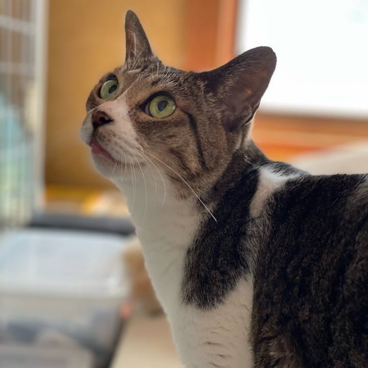 2561b3a8 8a29 443f ad1a 872d5dfcf3c0 1651456895785