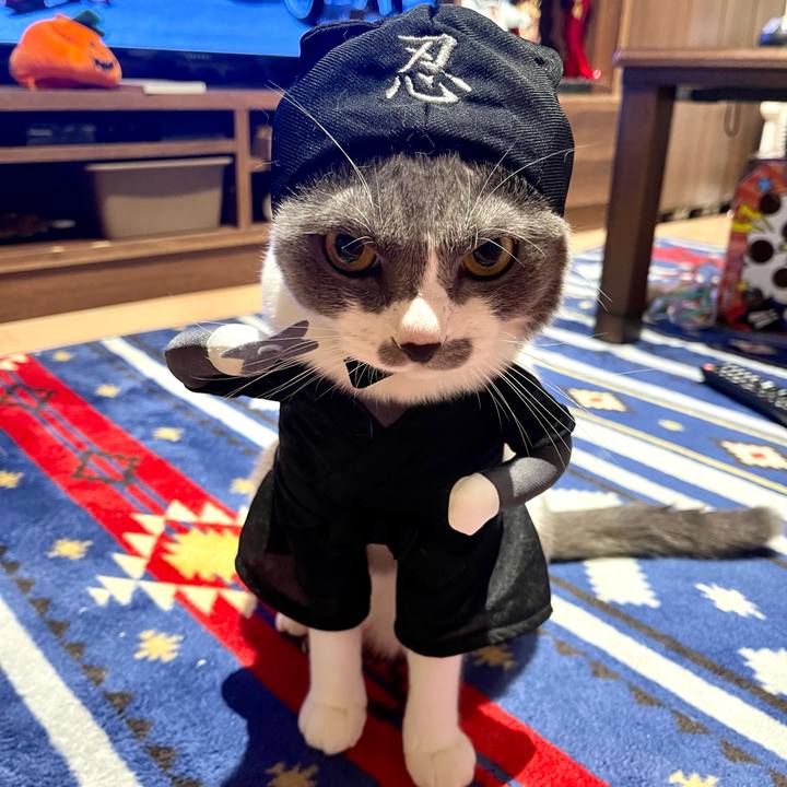 2561cb11 af4f 4f07 a622 2a8fd633490b 1664365435159