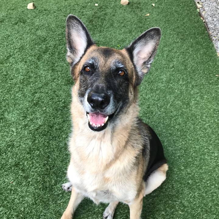 25620c8a 89bd 4e79 a98f ad7171abc526 1511038586506