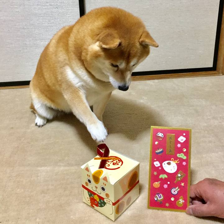 25622253 5d6d 429e a15c 62d2dd0910cb 1577919112118