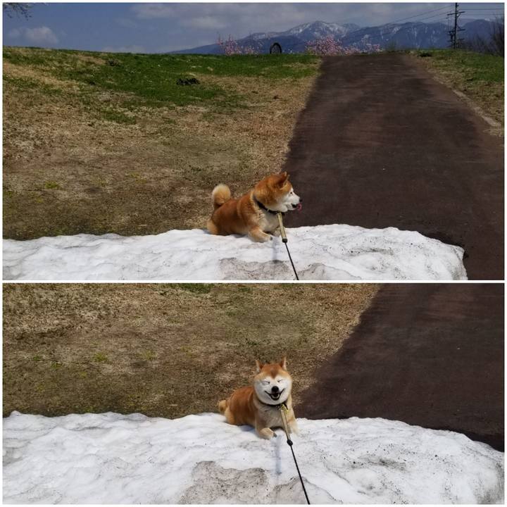 25625996 81b1 49ff a0b6 1579c8a3bfda 1650339206386