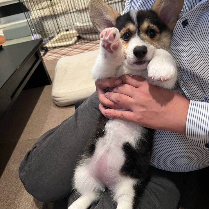 25628027 3450 4f35 b595 5710e8175805 1769520313580