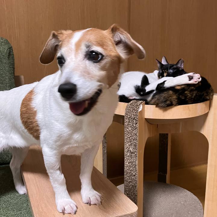 25628ae2 dbf2 4f4c b204 d7b2215c1633 1699537827172