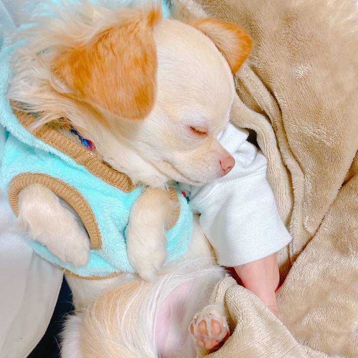 2562a282 273d 4ee1 9212 a0932b06977a 1638866057516