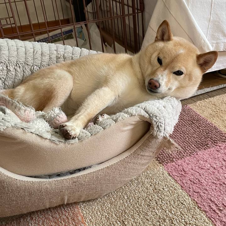 2562ab1b 3a66 43a6 a1d4 c188a9ee1df4 1685073814339