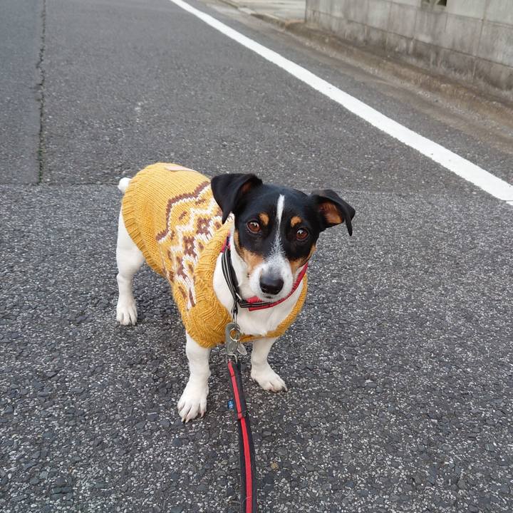 2562ee44 c5ec 4dce afec 935ffcfe511a 1640783257438