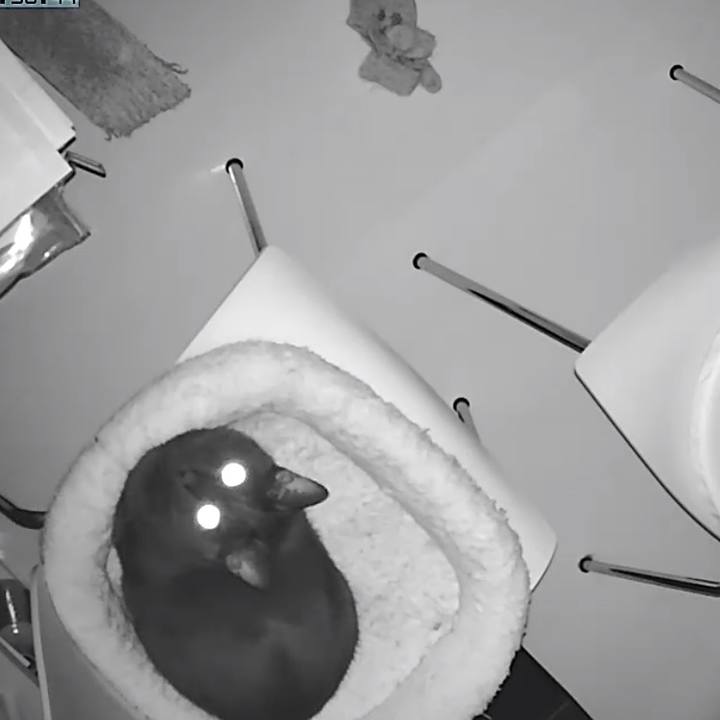 256342fa 1eb1 4c23 baac 6b138d5d4b7c 1510325789744