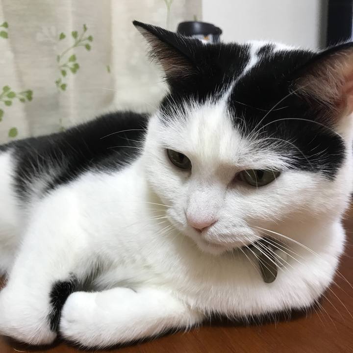 25634efb 5a43 45c5 9da9 8c33235dfd25 1519129527964