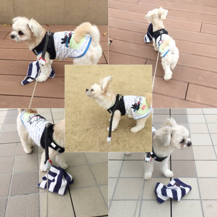 2563631a 26d7 486d aa4e 3183cd487a34 1522154878684