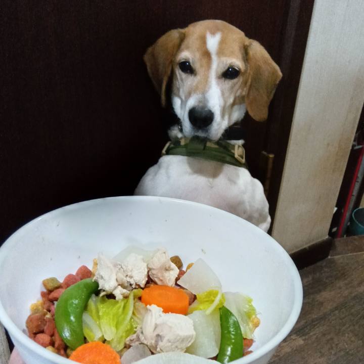 2563a47a 98cf 4902 bee2 fac7ef657fd2 1736858843126