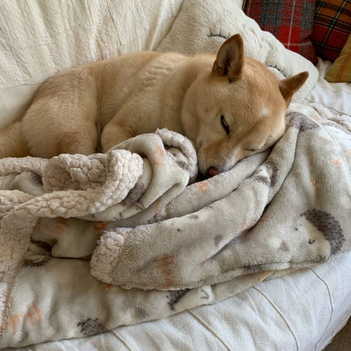 2563acdc 67a3 45b3 b35d a8a2111499b5 1618023455972