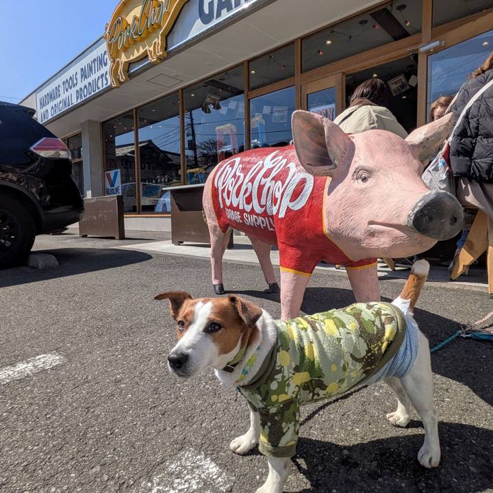 2563c6e2 1a91 4efa 9c5f 3eb77eade62a 1773307807048