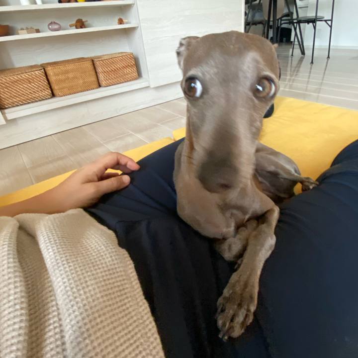 2563cb1d 7f22 4b6b ba15 209f25a7edbd 1760534472651