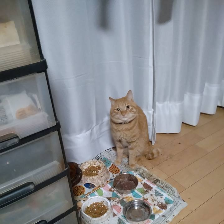 256405b0 2dac 457d 833d 8eeb6309a8f7 1673824561560