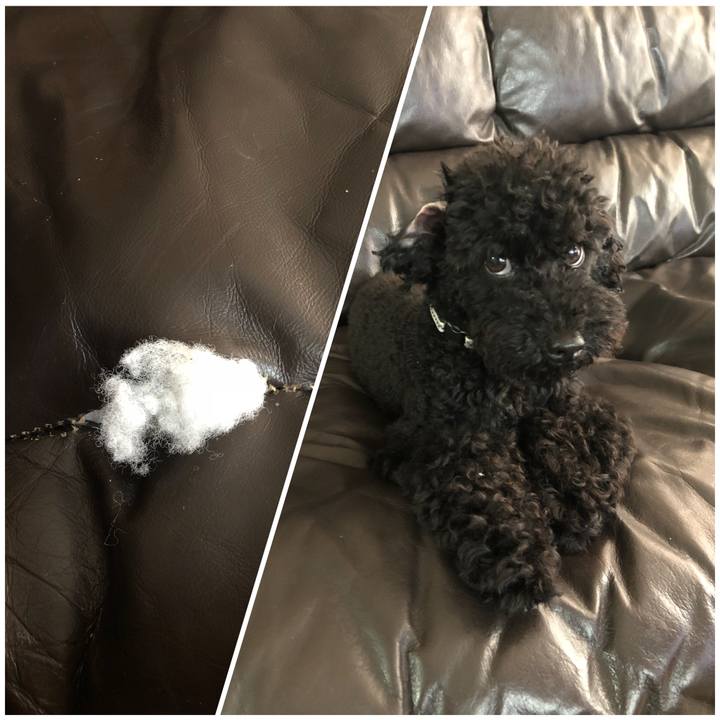 25642825 4d00 4eaf 93c7 ef867c6a60f5 1531009339004