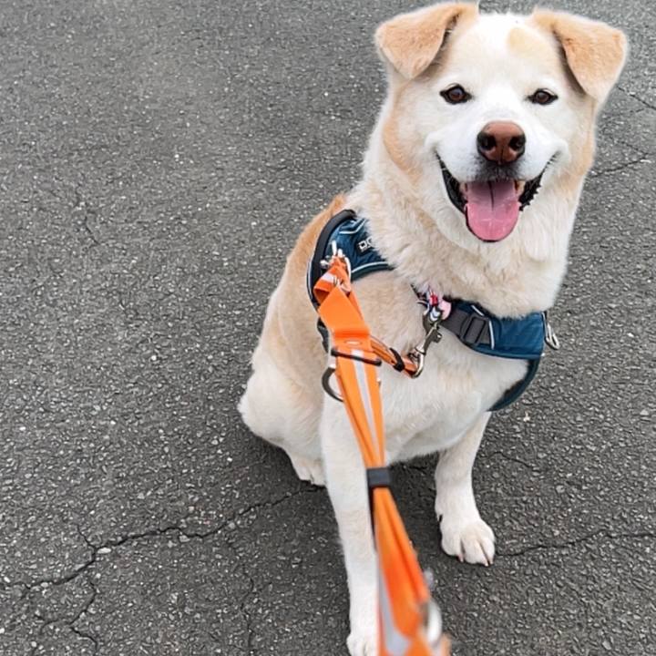 256441fc 6138 4883 805d 4e0165cd7c75 1715503666721