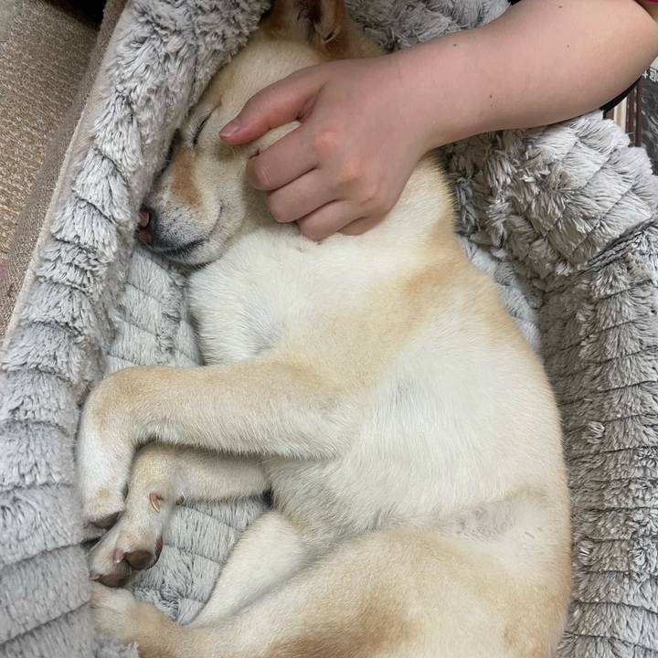 25644c0f 7ad6 4ae4 a2a9 0a166c544dd9 1684331085231