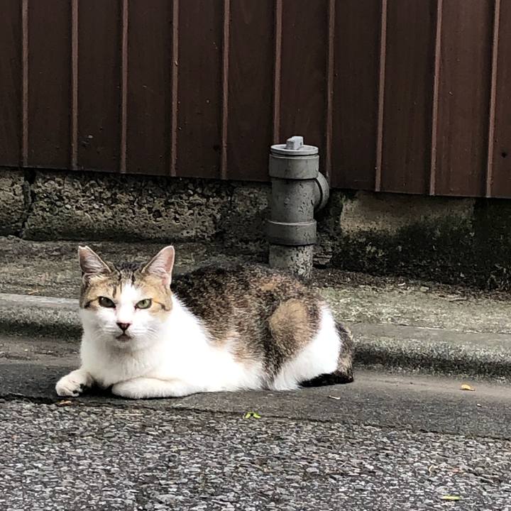 25645674 6b91 4d65 9ace 6fde6c0ee456 1561727809365