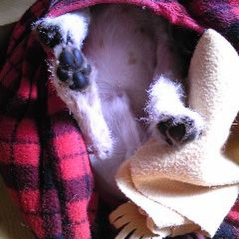 25646703 ab9e 4606 953b cb9ae2f1604c 1524660011368