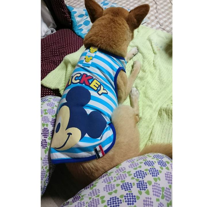 2564694f 980c 4491 91de 3804335dd39d 1525697550957