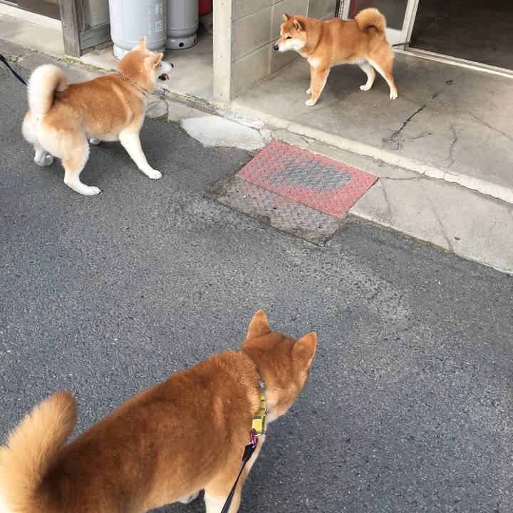 256493d0 4b3d 485a 82fb dcf4a057809f 1519527047263