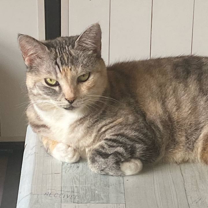 256498fb ae44 42b1 af85 80122c49c19e 1662253171926