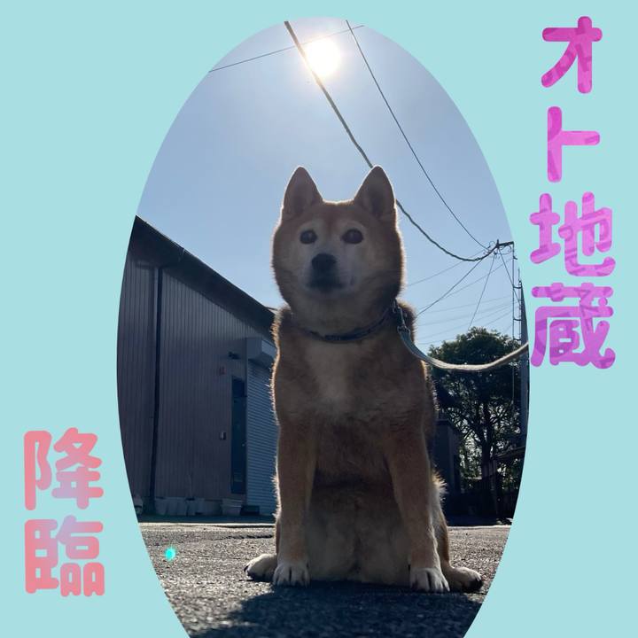 25649d6d 431f 4a3b 9071 49dce402ea30 1742184285067