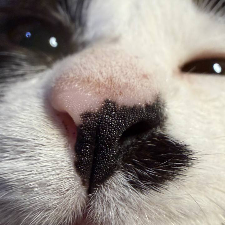 2564c100 3ca5 4e87 9b94 b9239c90a02d 1766803050962