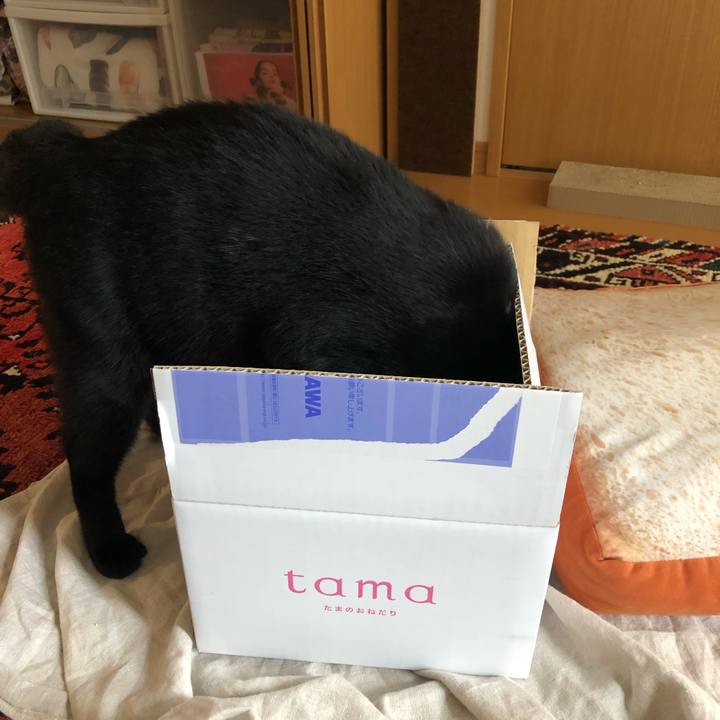 2564cd2d 9467 405e 9585 4637fb8cb03d 1561258502350