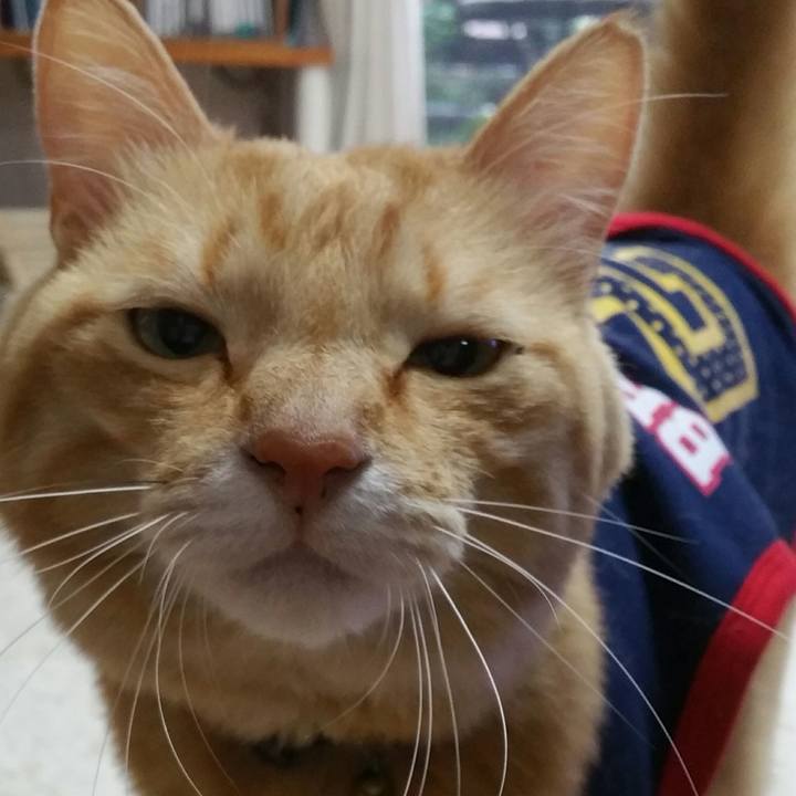 25650bf2 2057 4880 98e2 bc4b88bbf84c 1559865694355