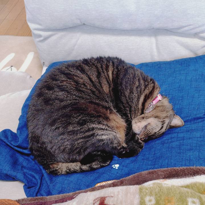 2565578d 23af 4fad aa53 15325398235d 1775098355091