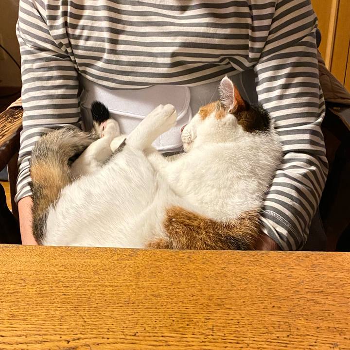 256566eb c320 4a8e abdc b916345862a6 1763199236410