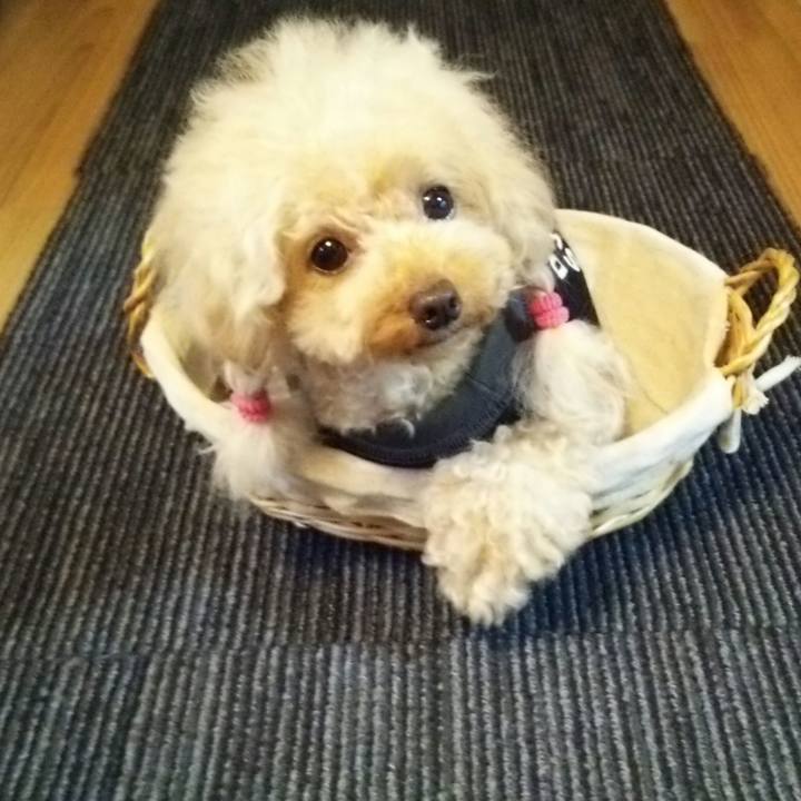 256640e7 9c6f 41b4 8ac6 facf897b794b 1537517326403