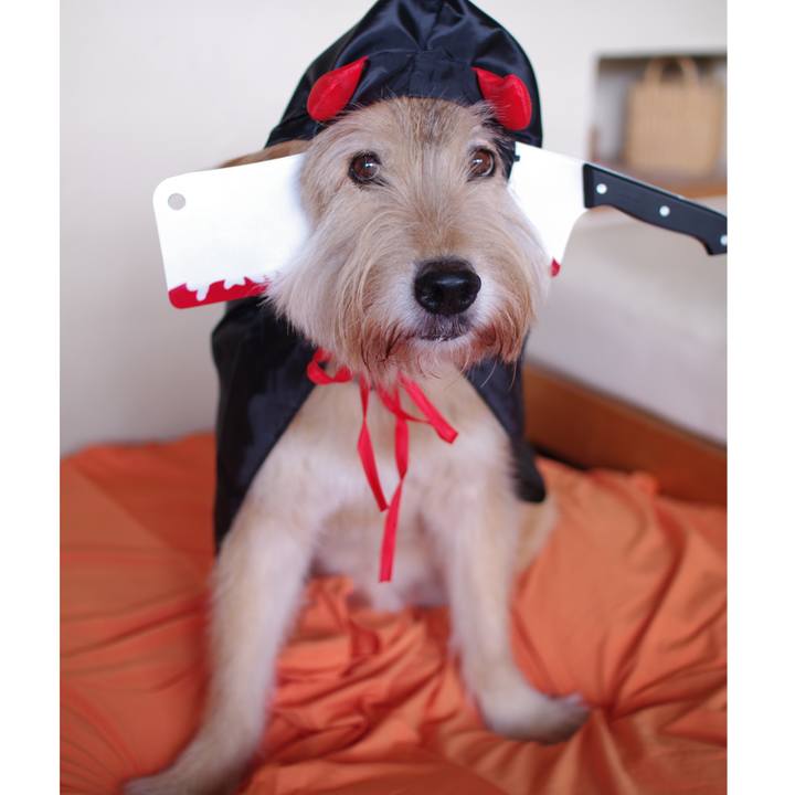 256659b4 3def 4de8 812f 308e002939d3 1604060517855