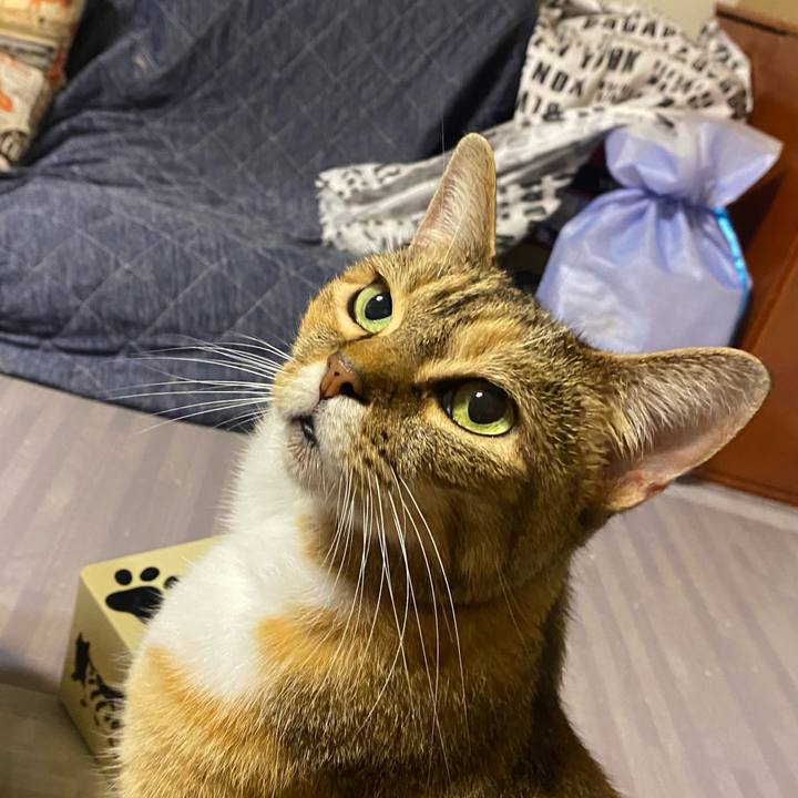 2566660e 7e48 4f8c 9586 8cc5c0de5a85 1625487690980