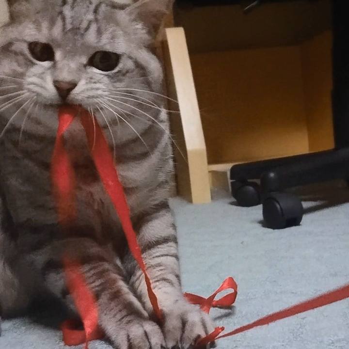 2566754a 7770 4d21 9e7f 54f4ec21ed3e 1575296767779