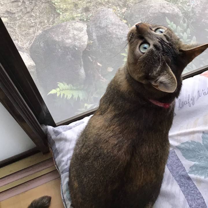 2566a0ff 5ff1 4fd3 8501 7284c144891b 1607839435202