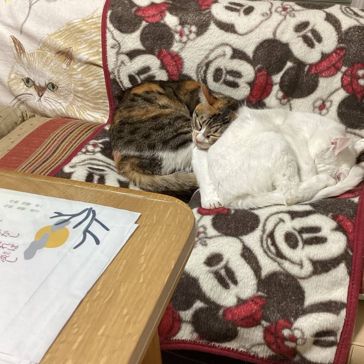 2566aa42 fa09 40d1 b225 a80177dc66e5 1673214455758