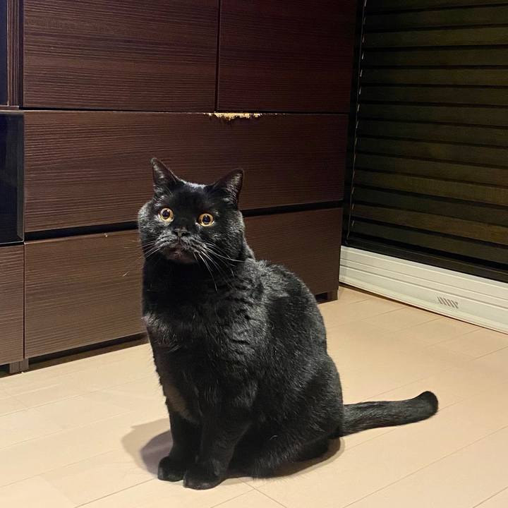 2566af46 160e 49d6 ac4e ce5c8f442a32 1712663995124