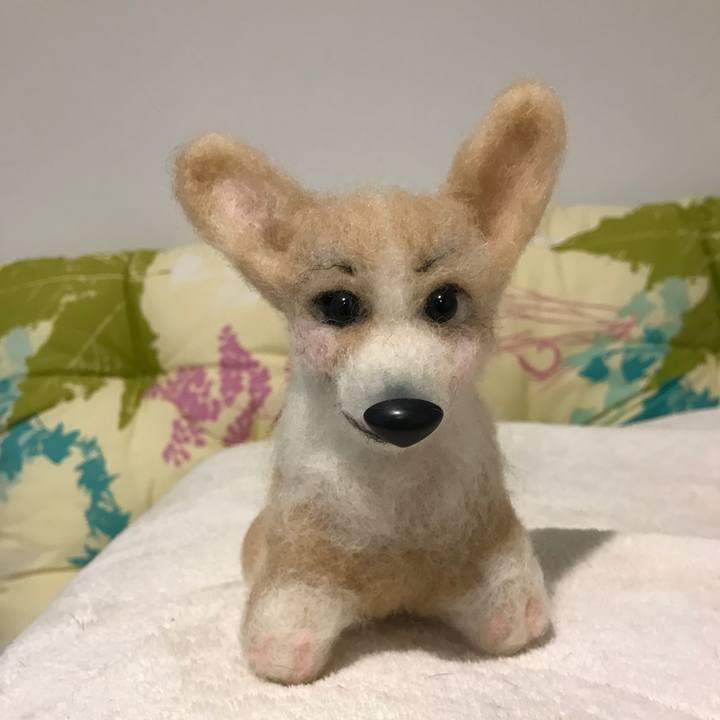 2566c284 dddf 4182 b254 689404a1ab1a 1516457001225