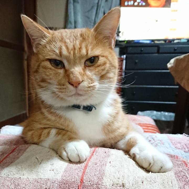 2566d743 86cf 4de2 99b1 11d407f9a926 1606427741466