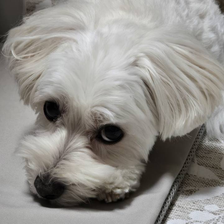 2566de0b 93fb 49b5 be97 e8f9de91a2aa 1758110477903