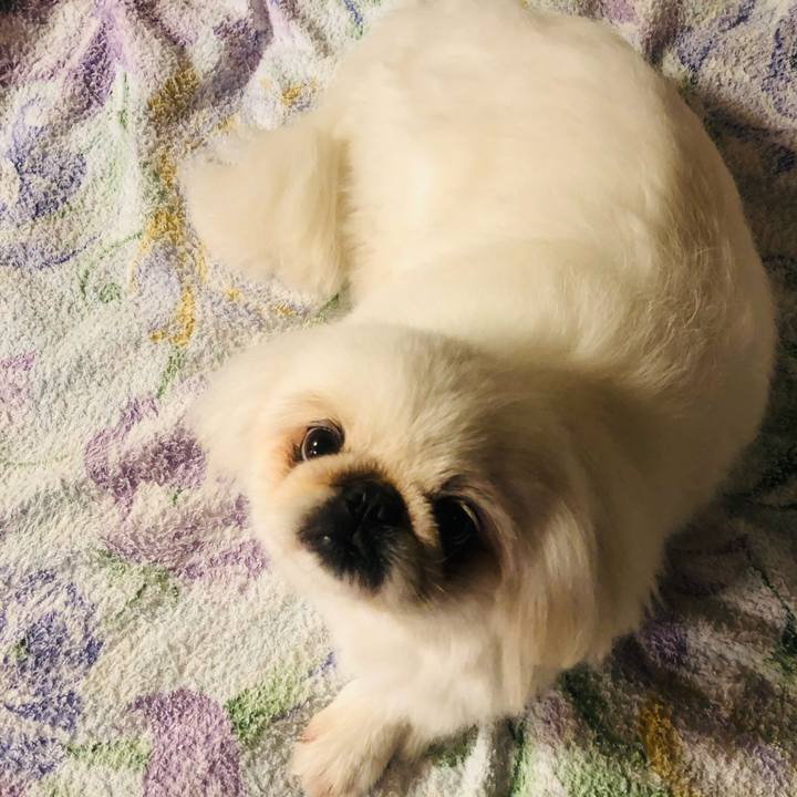 2566deeb 8ef1 4027 80bb 420559c7af31 1622113052517